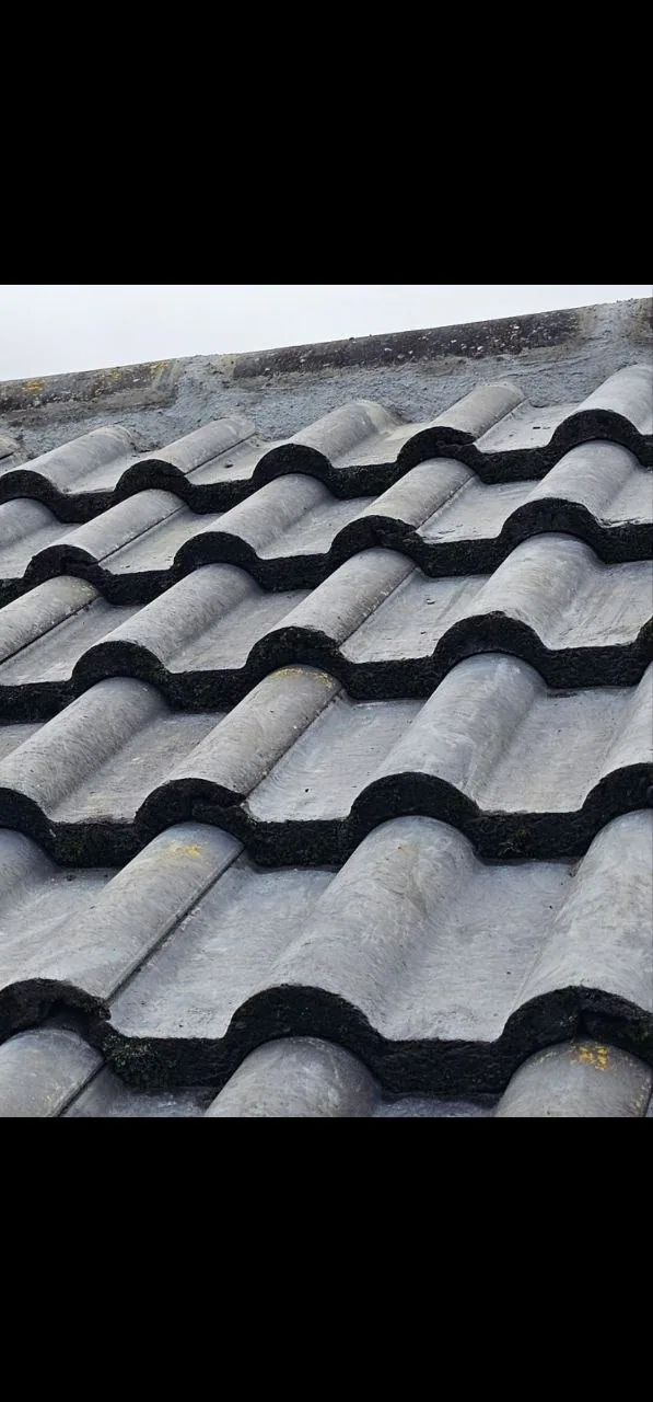 Weathered concrete pantile roof before repair