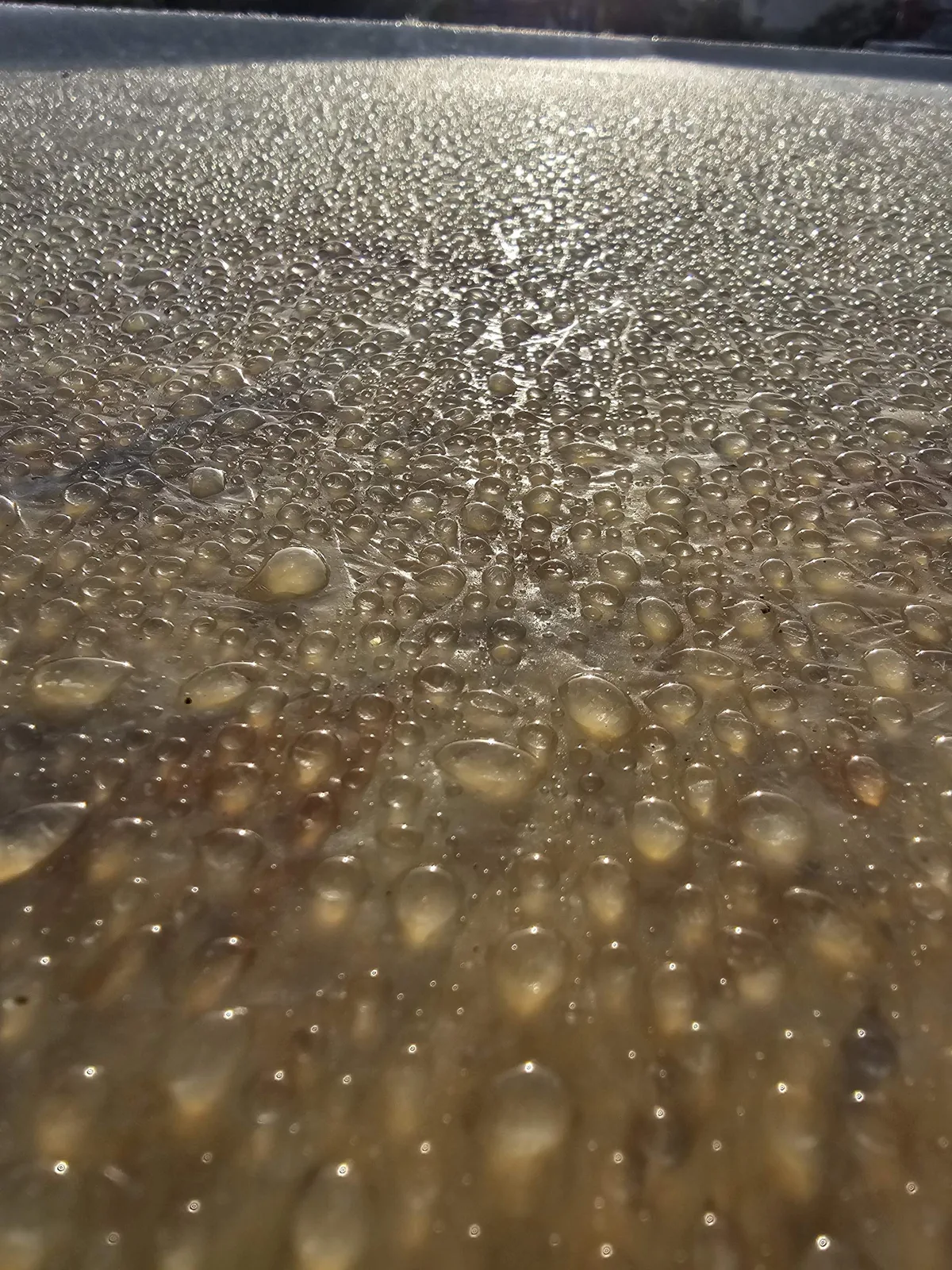 Close-up of a new GRP fibreglass flat roof topcoat with rain droplets